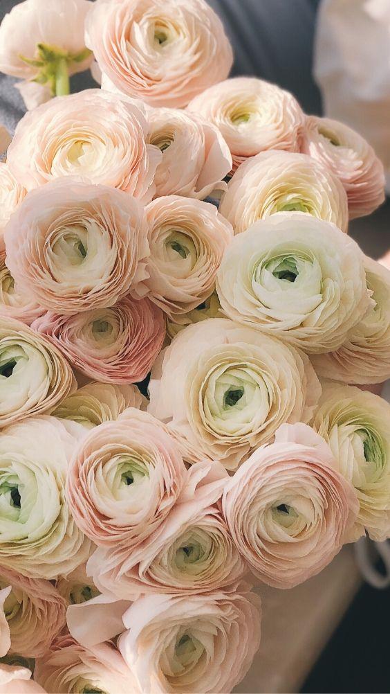 Enchanted Garden: Embrace of Fragrance